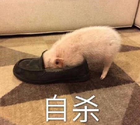 1578964405389304.jpg 1.jpg